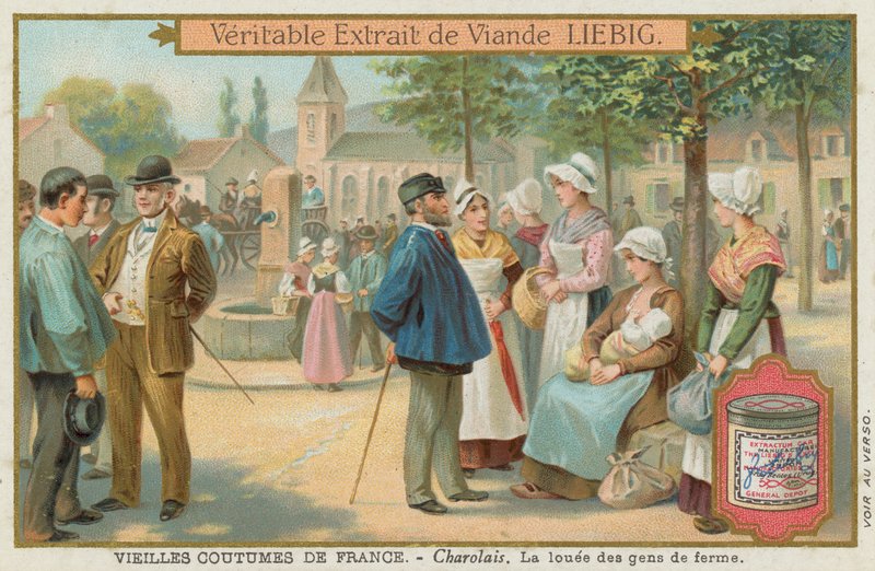 Charolais af European School