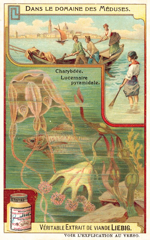 Charybdis og Pyramidal Lucernia (chromolitho) af European School
