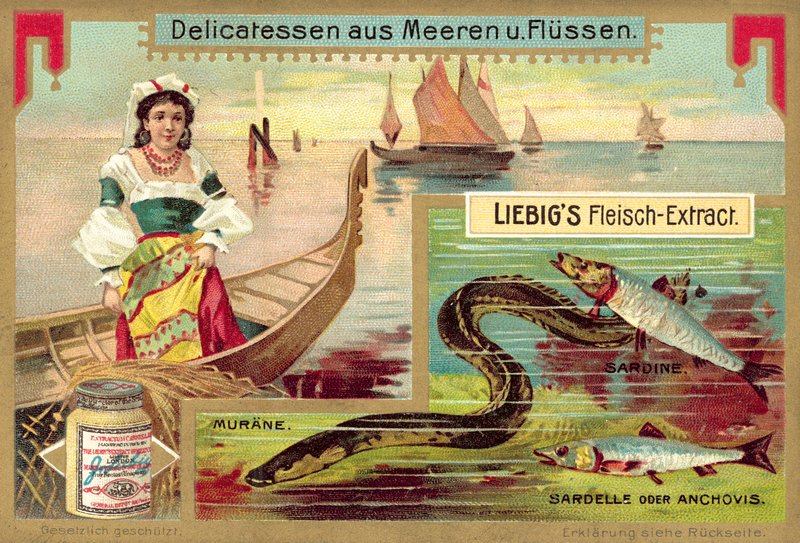 Ål, sardin og ansjos (chromolitho) af European School