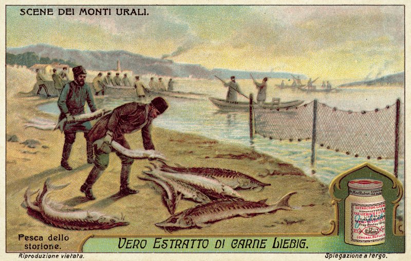 Fiskeri efter stør (chromolitho) af European School
