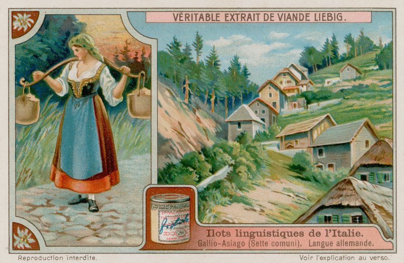 Tysktalende Gallio Asiago af European School