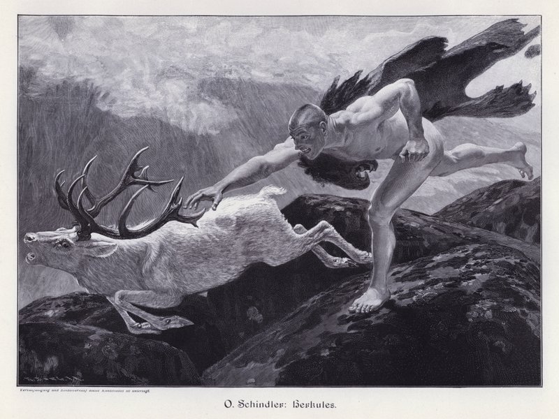 Hercules (gravering) af European School