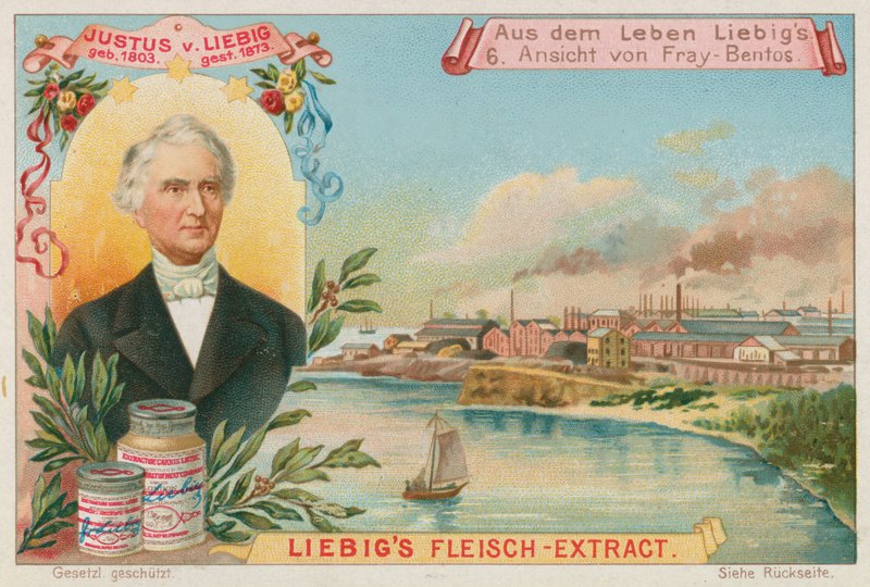 Justus von Liebig: Udsigt over Fray-Bentos af European School