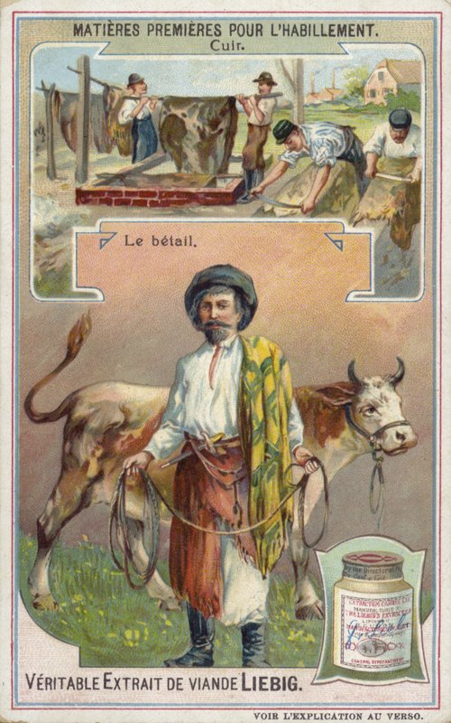 Leather: cattle  af European School