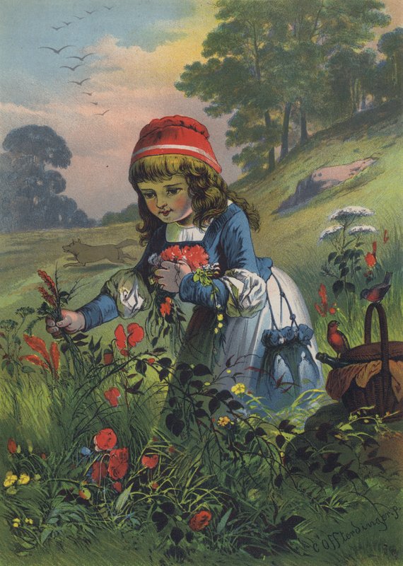 Rødhætte (farve litho) af European School