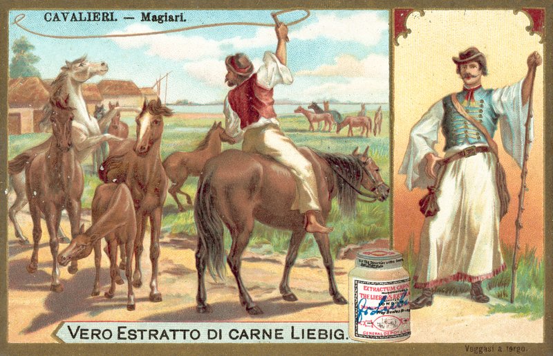 Magyarer (chromolitho) af European School