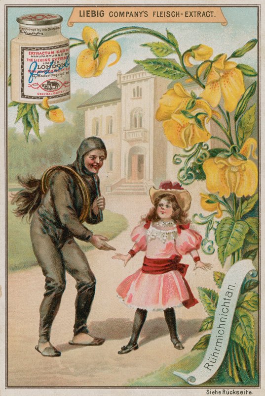 Mimosa af European School