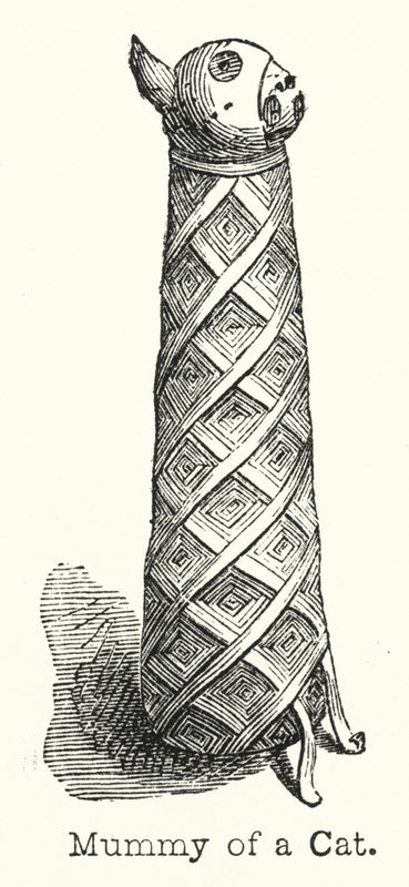 Mummy of a Cat (gravering) af European School