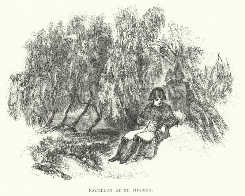 Napoleon ved St. Helena (gravering) af European School