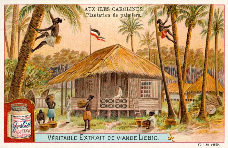Palmeplantage, Caroline Islands (chromolitho) af European School