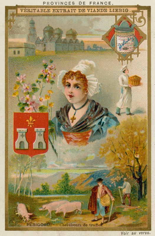 Perigord af European School