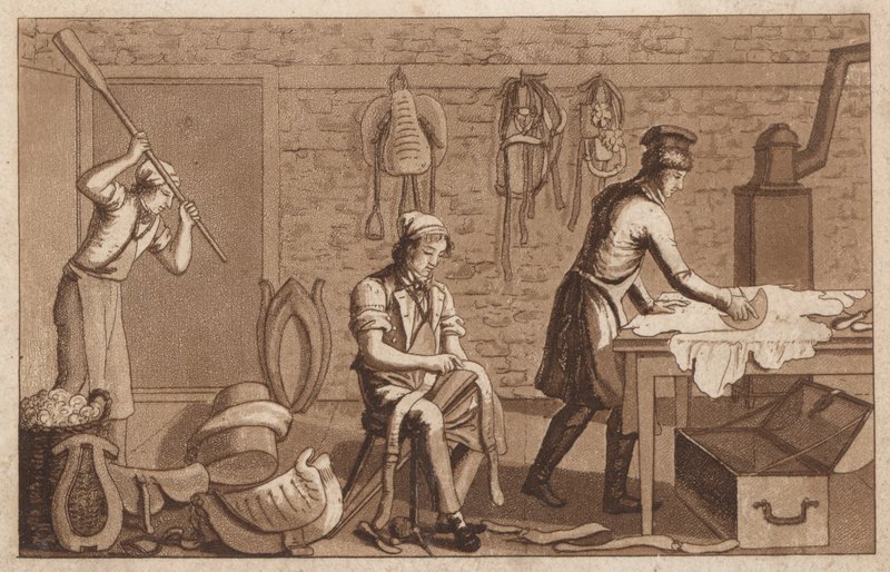 Sadelmagere (litho) af European School