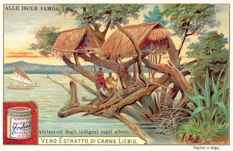 Samoansk træhus (chromolitho) af European School