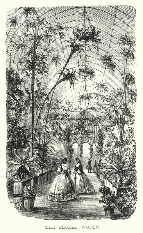 The Floral World (gravering) af European School