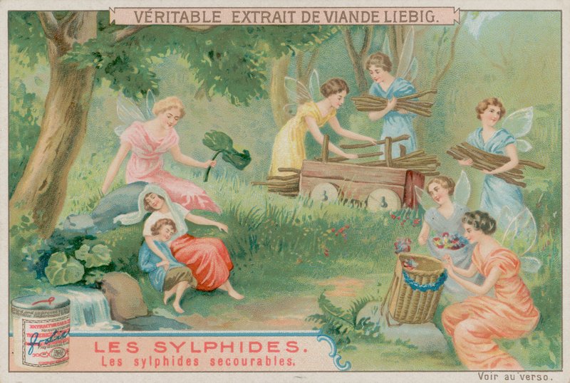 De hjælpsomme sylfer af European School