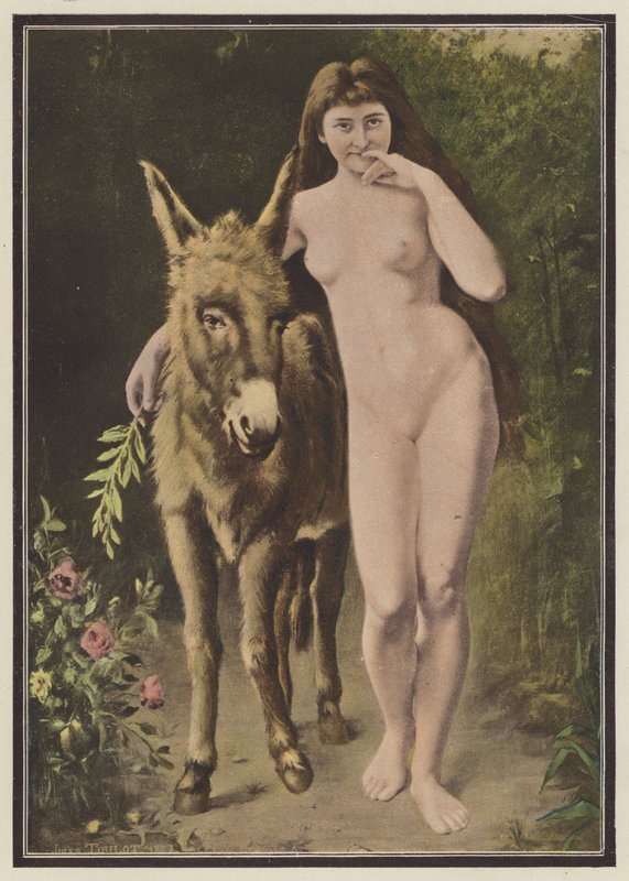 Den gyldne røv (farve litho) af European School