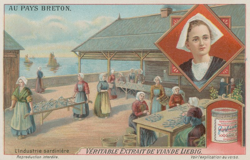 Kvinder tilbereder sardiner (chromolitho) af European School