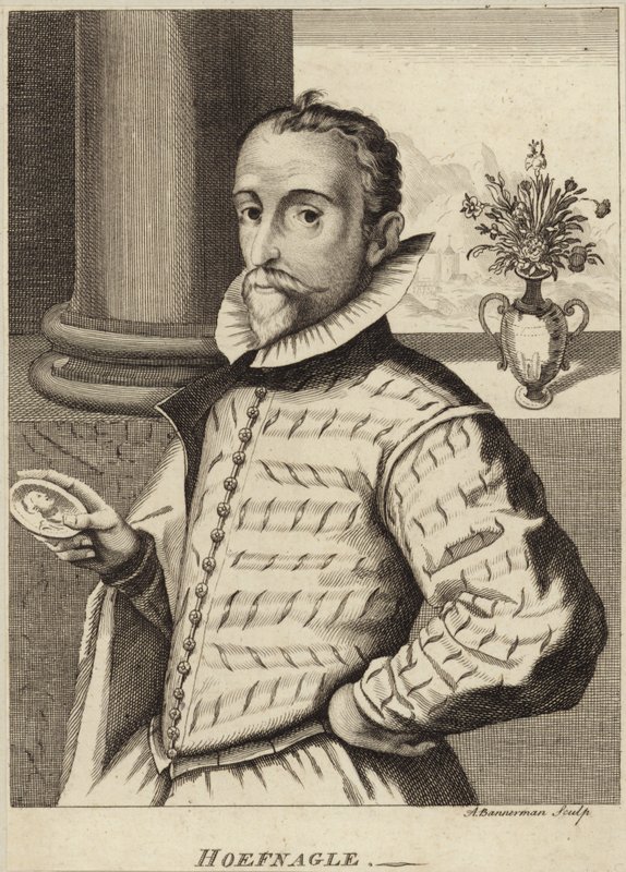 Portræt af Joris Hoefnagel af Flemish School