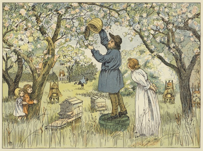 Biavler (farvelitografi) af Francis Donkin Bedford