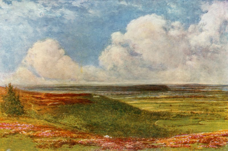 Blackdown Common af Francis S. Walker