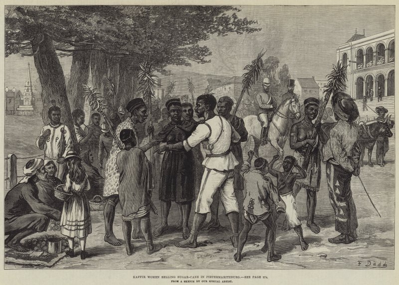 Kaffir Kvinder, der sælger sukkerrør i Pietermaritzburg af Frank Dadd
