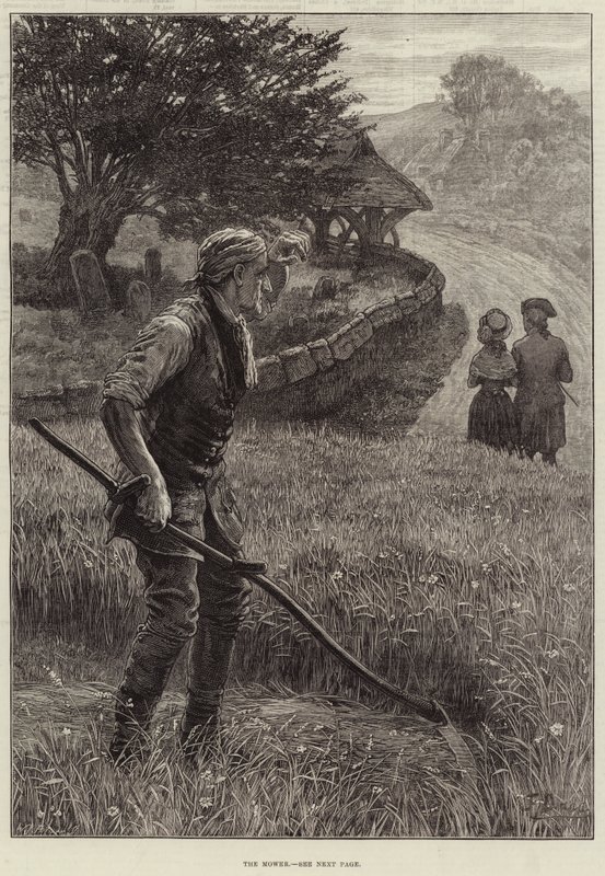 Plæneklipperen af Frank Dadd