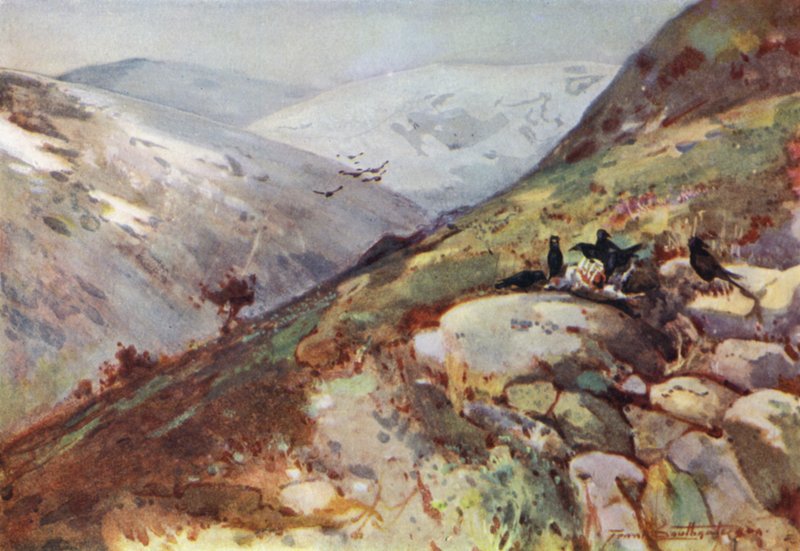 Nær Kielder (farve litho) af Frank Southgate