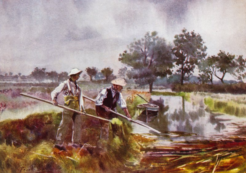 Norfolk Broads: Marshmen Weed-Liftingdani af Frank Southgate