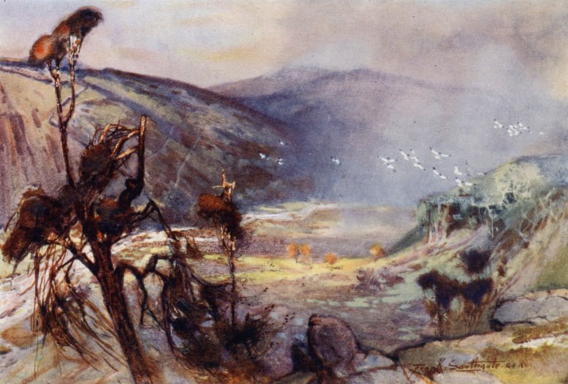 Storm in the Cheviots (farve litho) af Frank Southgate