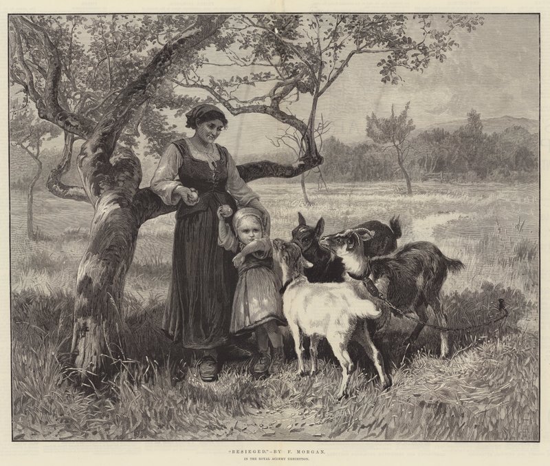 Belejret af Frederick Morgan