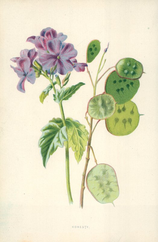 Ærlighed af Frederick Edward Hulme