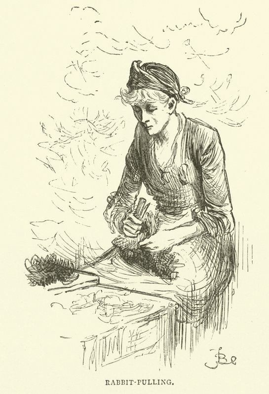 Kanin-trækker af Frederick L. Bernard