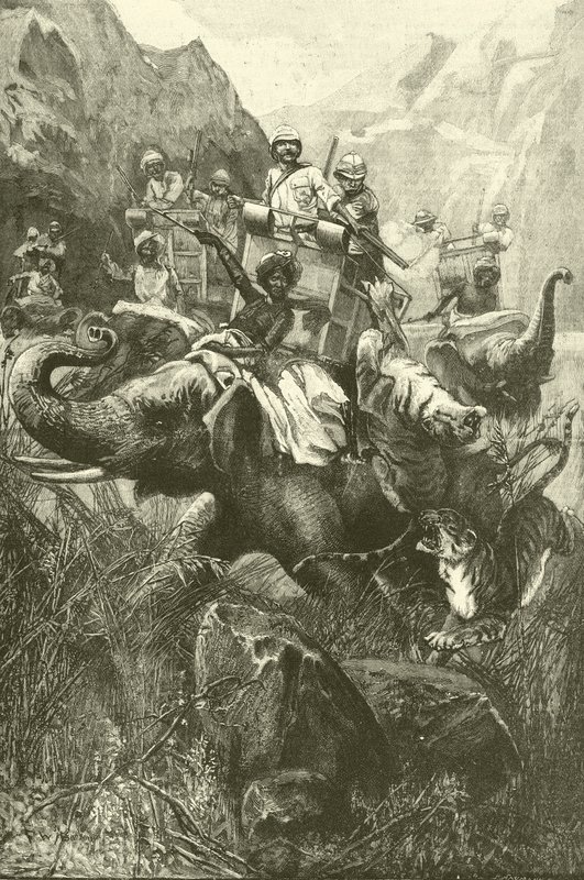 Tigerjagt i Indien (gravering) af Frederick William Burton