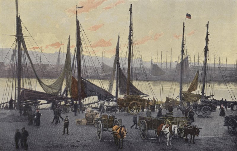 Boulogne-sur-Mer, Forberedelser til sildefiskeri af French Photographer