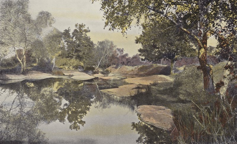 Fontainebleau, Skov, Mare de Franchard af French Photographer
