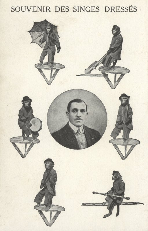 Abe i kostume af French Photographer
