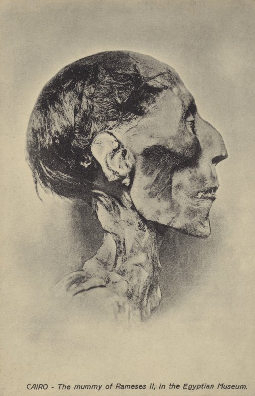 Mumie af Ramses II af French Photographer