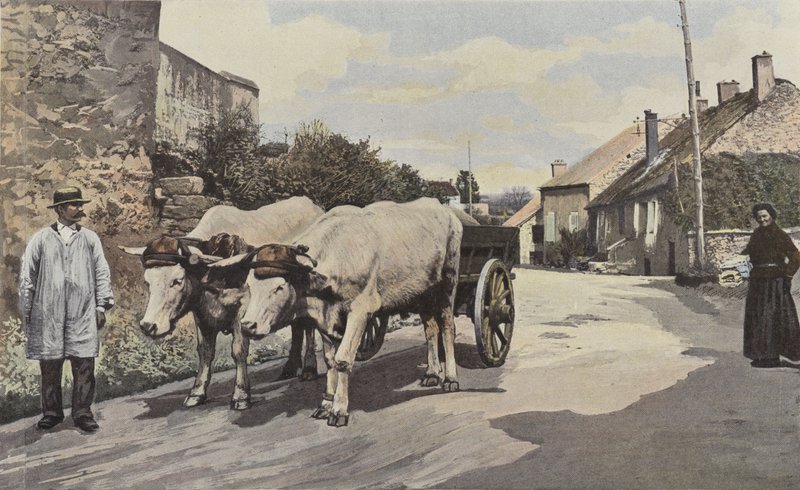 Saulieu, Et problem i Morvan af French Photographer