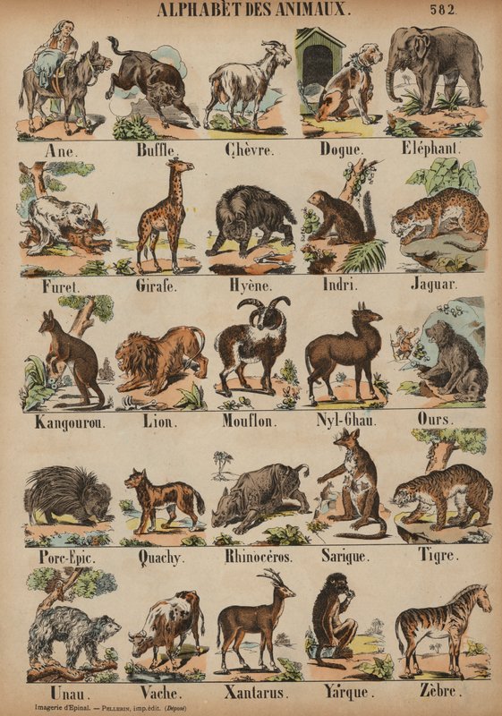 A til Z af dyr (farvet gravering) af French School