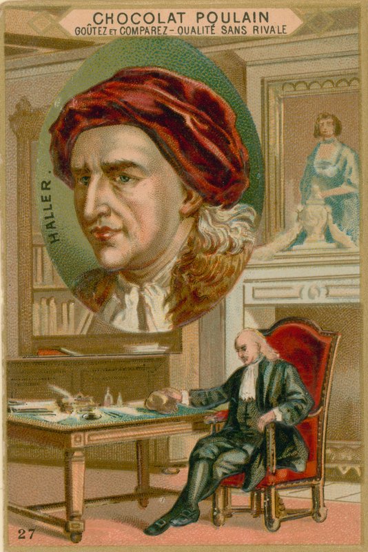 Albert von Haller af French School