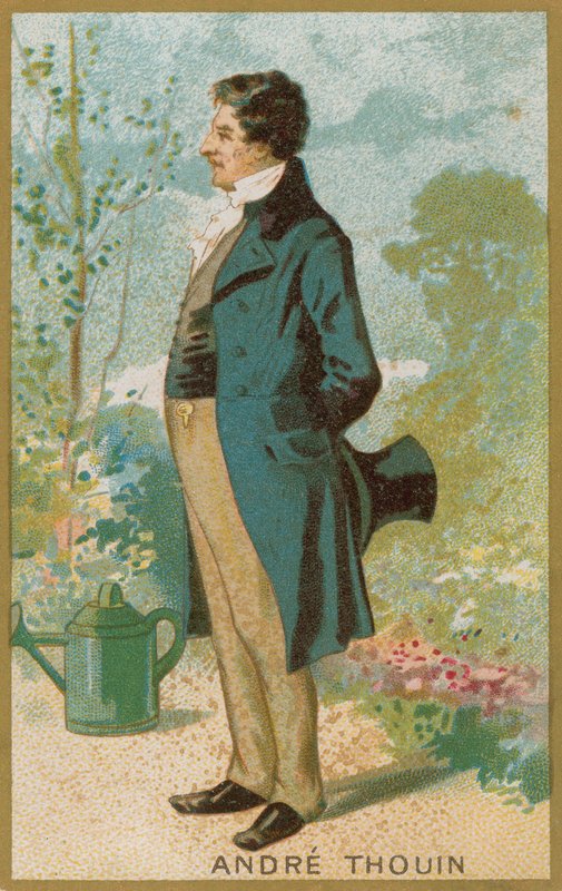 Andre Thouin af French School