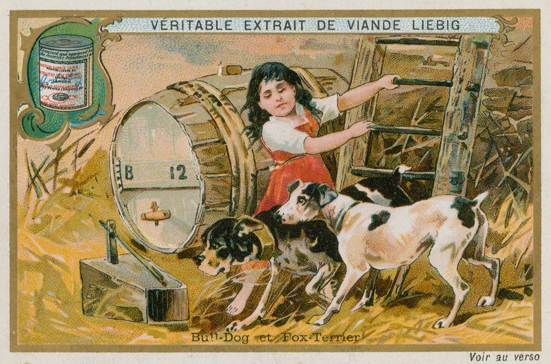 Bulldog og Fox Terrier af French School