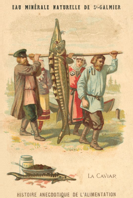 Kaviar (chromolitho) af French School