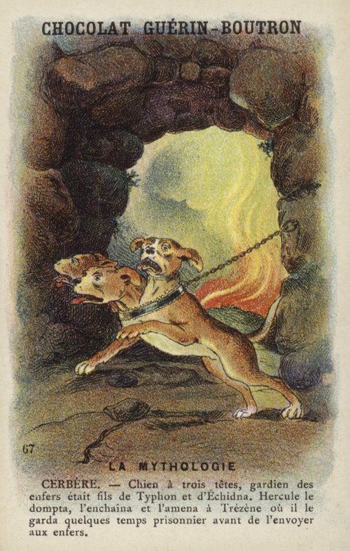 Cerberus af French School