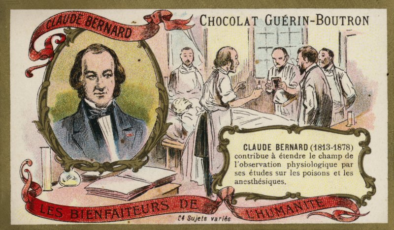 Claude Bernard, fransk fysiolog (chromolitho) af French School