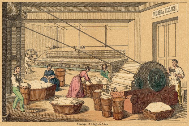 Bomuld (farvet gravering) af French School