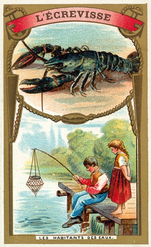 Krebs (chromolitho) af French School