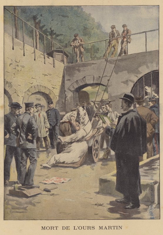 Isbjørnen Martins død af French School