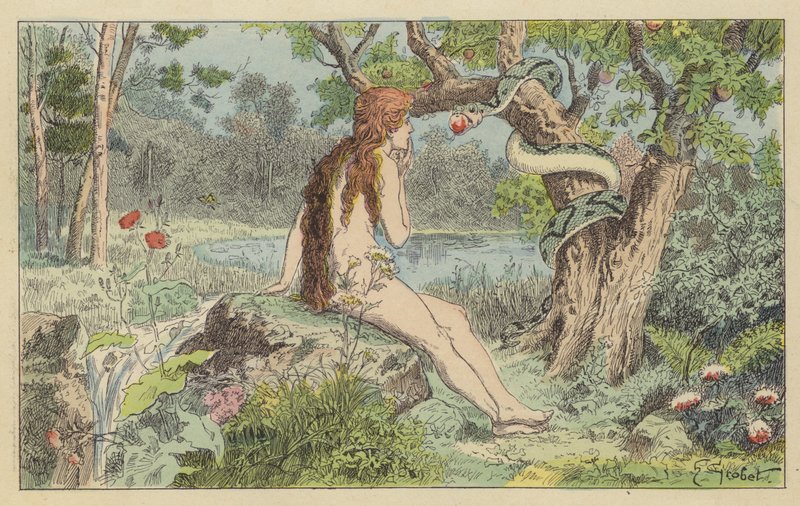 Eva fristet af slangen (farve litho) af French School