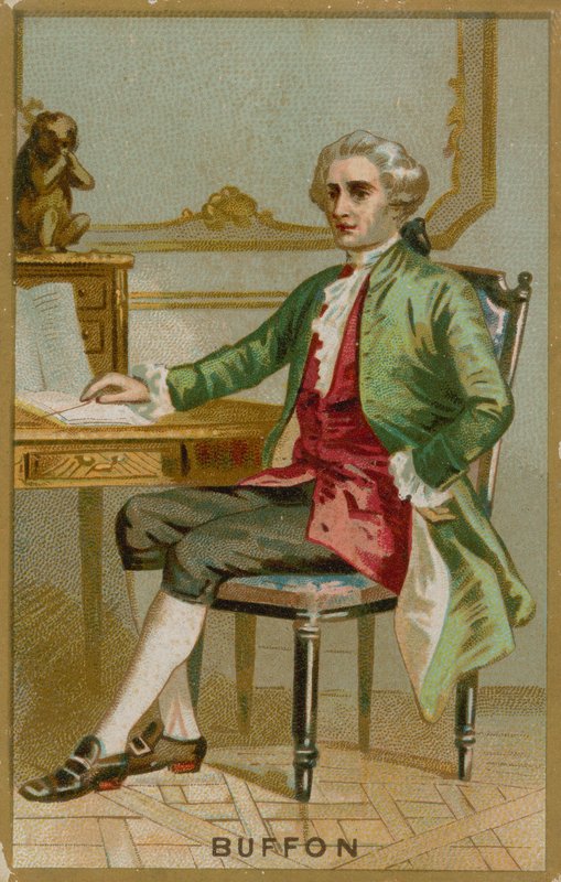 Georges-Louis Leclerc, greve af Buffon af French School